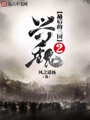 最后的三国2兴魏123