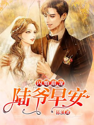 闪婚甜宠：陆爷，早安！暮溪