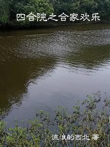 王河王仁流浪的西北