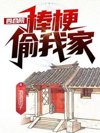 四合院：棒梗偷我家