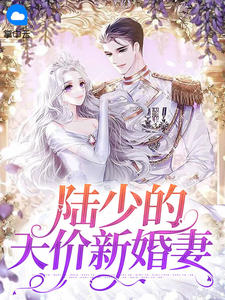 宋灼月陆知珩陆少的天价新婚妻