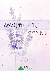 AWM[绝地求生]